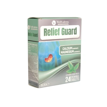 Wellvalens Reliefguard (antacid) comp.mast. N24