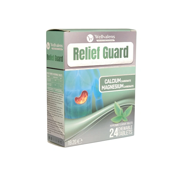Wellvalens Reliefguard (antacid) comp.mast. N24
