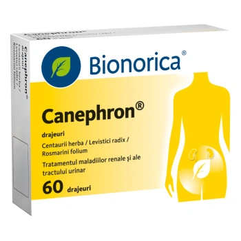 Canephron drajeuri N20x3