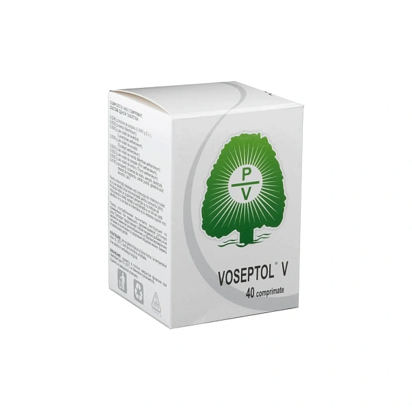 Voseptol V comp. N40