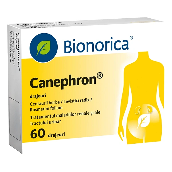 Canephron drajeuri N20x3